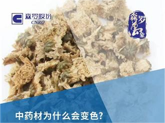 《森羅萬象》，萬象包羅 第2問